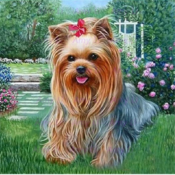 

new 5d diamond painting set-yorkshire terrier diy crystal diamond rhinestones pasted color by color kits cross stitch embroider
