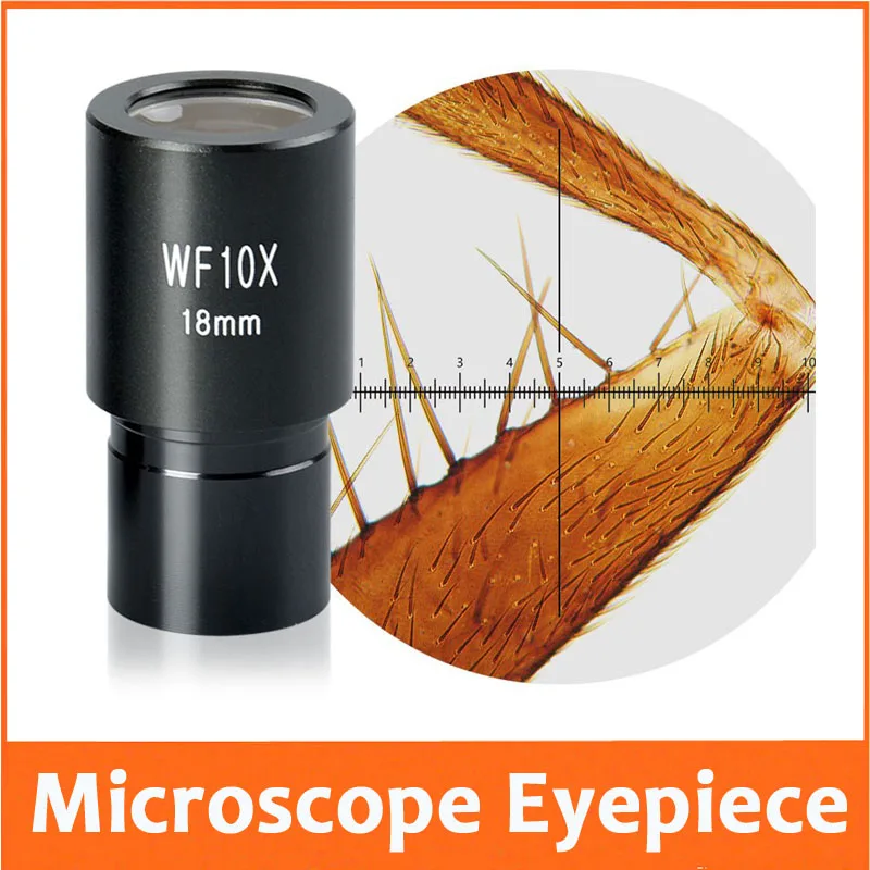 WF10X Wide Angle High Eye-piont Eyepiece Optical O... – Vicedeal