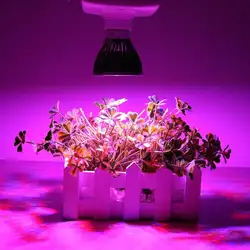 E27 полный спектр SMD5730 светодиодный светать роста растений лампы для внутреннего парниковый эффект; Выращивание растений без почвы