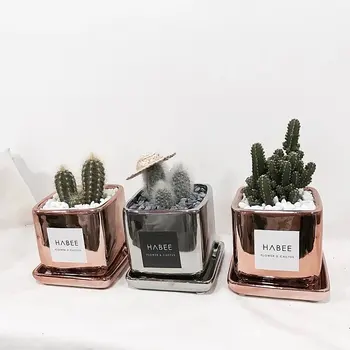 

Nordic Creative Ceramic Flower Pot Plating Metal Fleshy Flower Pot with Tray Home Garden Decoration Fun Gifts Dropshipping