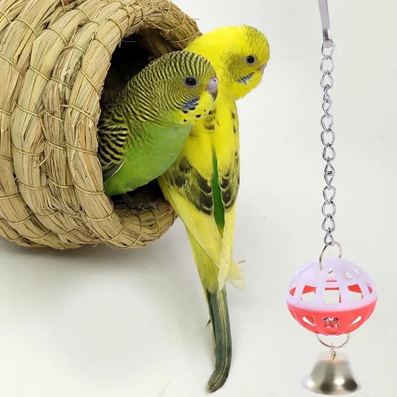 

Wooden Steel Pendant Bell Cockatiel Parrot Toys Cage Toys For Parrots Bird Squirrel Funny Swing Chain Toy Pet Bird Supplies