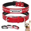 Customized Rhinestore Dog Collars Padded Personalized Dogs ID Collars For Small Medium Dogs Cats Puppy Kitten Pink Red Black ► Photo 1/6