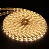 220V LED Strip Light 5050 LED Ribbon Waterproof IP67 Bright Than 5630 2835 3528 LED Tape White Warm White Red Green Blue ► Photo 1/6