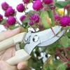 Stainless Steel Garden Scissors Grafting Tool Fruit Tree Pruning Shears Bonsai Pruners Garden Shears Gardening Secateurs Scissor ► Photo 2/6