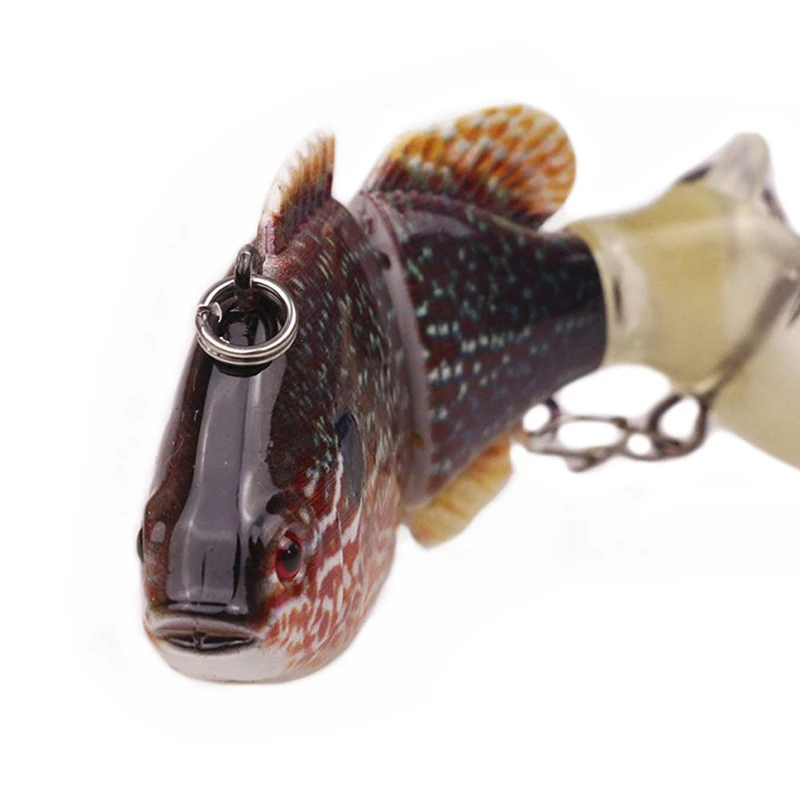 Details of sun fish bait