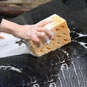 

car wash sponge