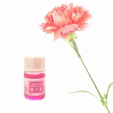 Famous brand pure natural Carnation essential oil Lose weight effect Relax Skin care 3ml/Bottle akarz famous brand natural coffee essential oil cells refresh relax moisture nutrition of skin cells skin coffee oil