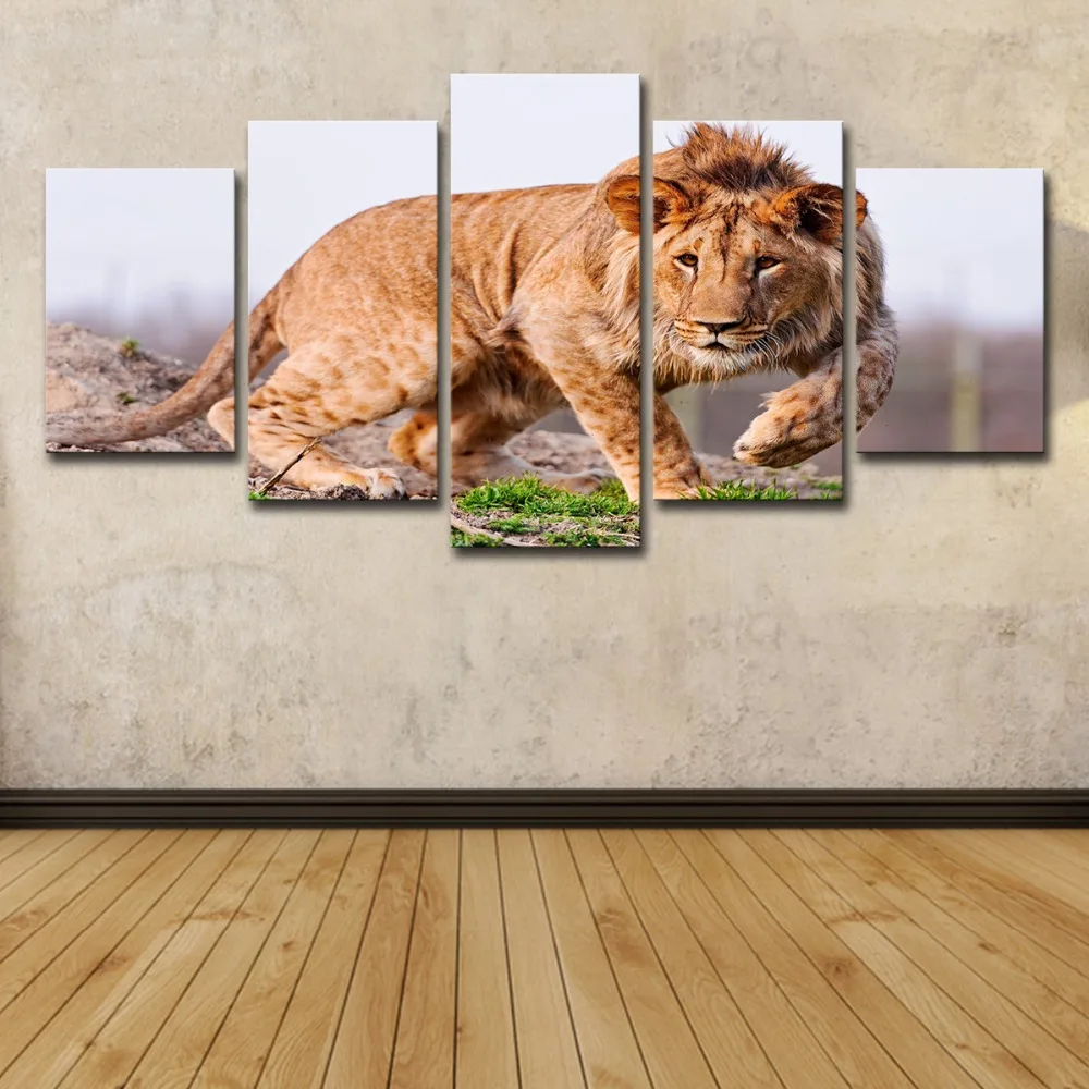 5P2252-HD Printed African lion Painting Canvas Print room decor print poster picture canvas Free shipping (2) 