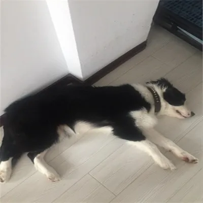 1010