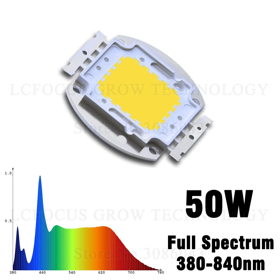50W(1)