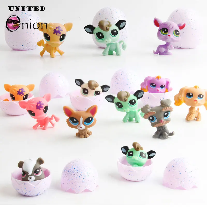 hatching eggs toy