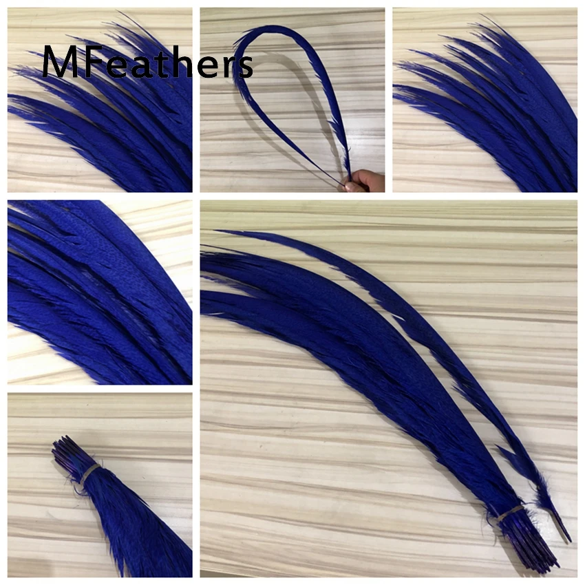 

MFeathers 50pcs Royal blue Dyed Golden Pheasant tails Feather 60-75cm long chicken zebra feather lady amherst for carnival decor