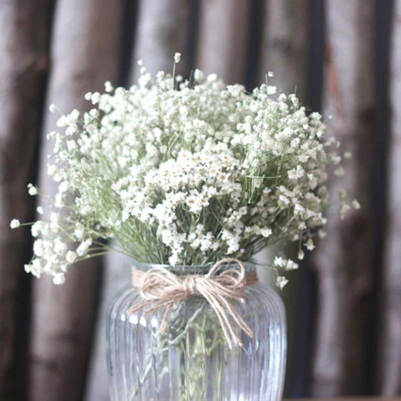 1束赤ちゃんの息白い花ナチュラルドライフラワーホーム除草装飾花嫁フラワーブーケ装飾花 Decorative Flowers Natural Dried Flowerswhite Flowers Aliexpress