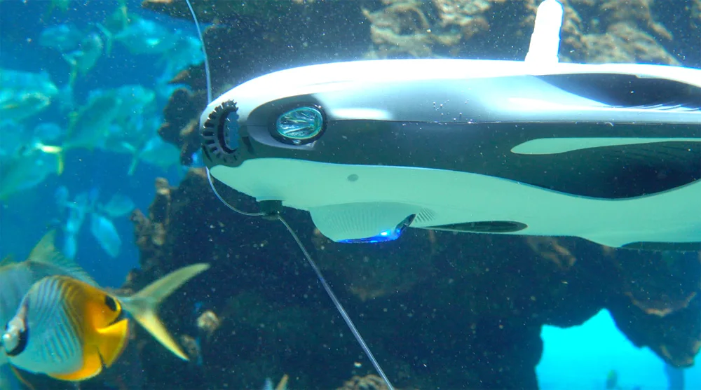 powerray drone for sale