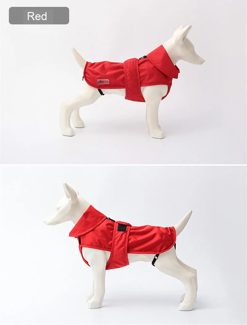 small dog clothes  winter (12)