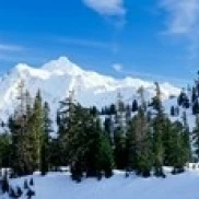 Trees on a snow covered mountain  Mt Shuksan  Mt Baker-Snoqualmie National Forest  Washington State  USA Poster (18 x 6)