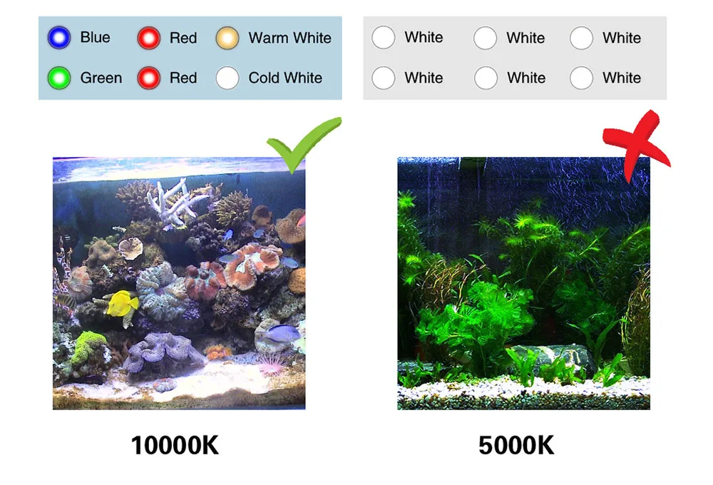 Aquarium led lighting Dimmable lamp Fish bowl light Marine Fish tank Coral lights High brightness Penetrating strong FCC CE ROHS (9)