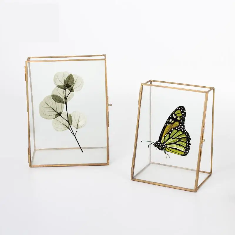 

Retro Copper Photo Frame Glass Specimen Folder 6 inch 7 Inch