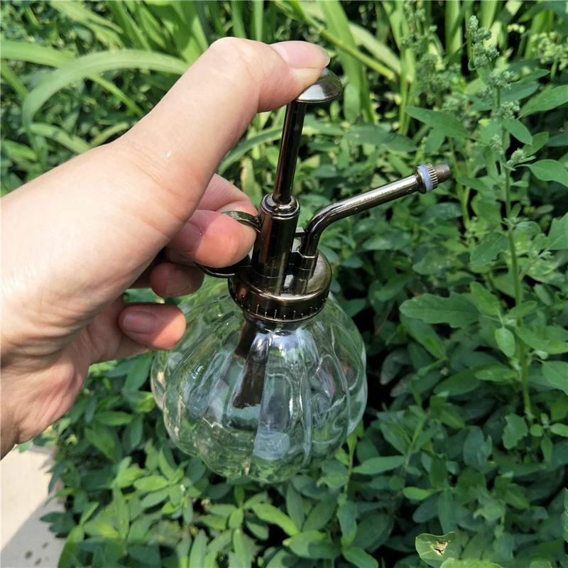 1 шт. спрей разбрызгиватель для бутылок система Ретро Старый стеклянный спрей бутылка полив суккуленты растения в помещении 9x16 см