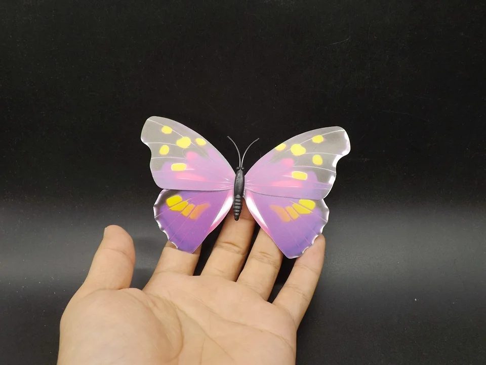 I241-Butterfly (1)