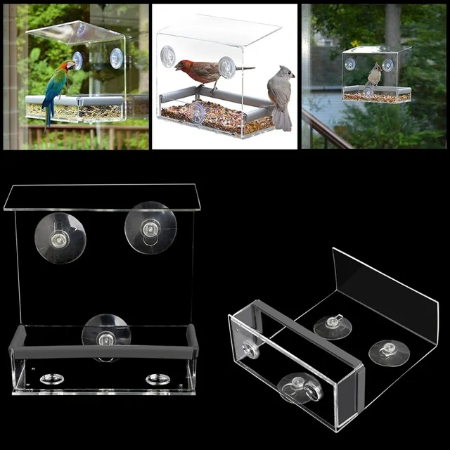 Transparent Bird S Feeder
