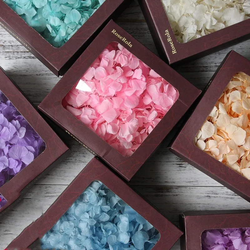 Large leaf hydrangea immortal flower rose gift box flower material