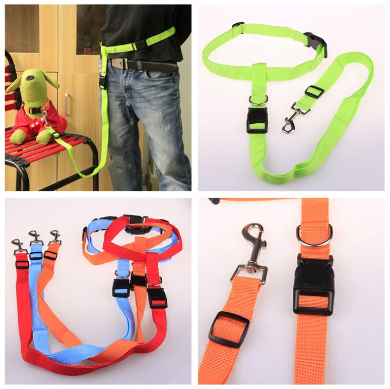 Buy Pet Traction Lines Nylon Dog Leashes Long Walking