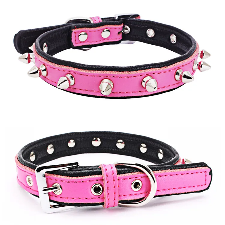 dog collars (7)
