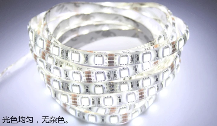 cheap Free Shipping 60leds m Waterproof led strip 12V and 24V smd5050 5M 10mm wide PCB flexible tape light RGB ,WW,NW,CW R,G,B,Color