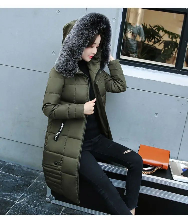 Winter Jacket Women Women's Parkas Long Coat Parka Women 2018 With Artificial Fur Collar Hooded Cotton Coats And Jackets LZ970 (22)