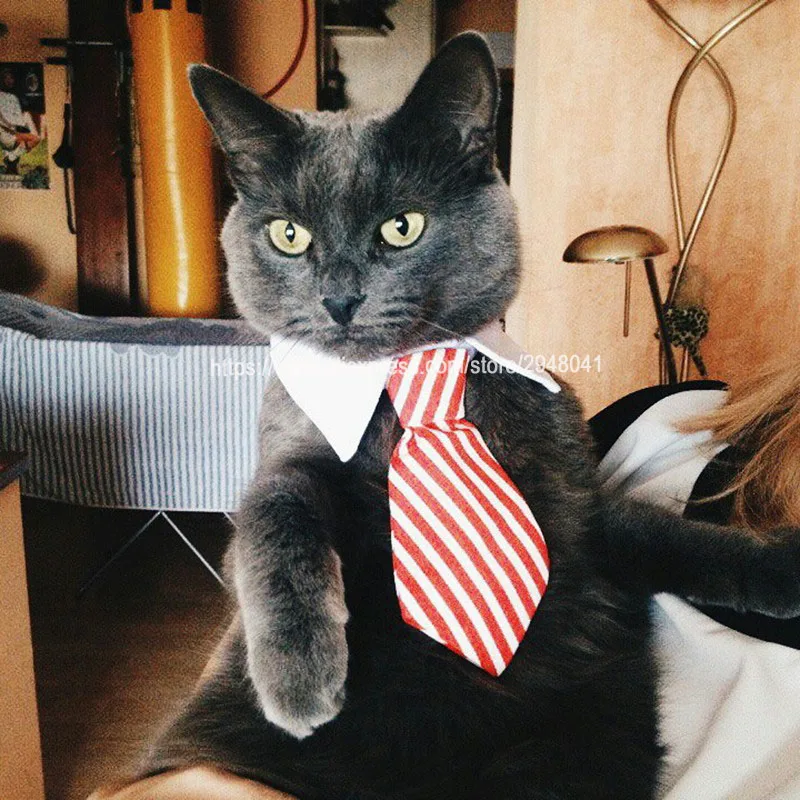 Костюм Кошки галстук и зажим галстук для кошек и собак, игрушка для кошек, ошейник для кошки, галстук для собаки, Модный Полосатый галстук для собаки