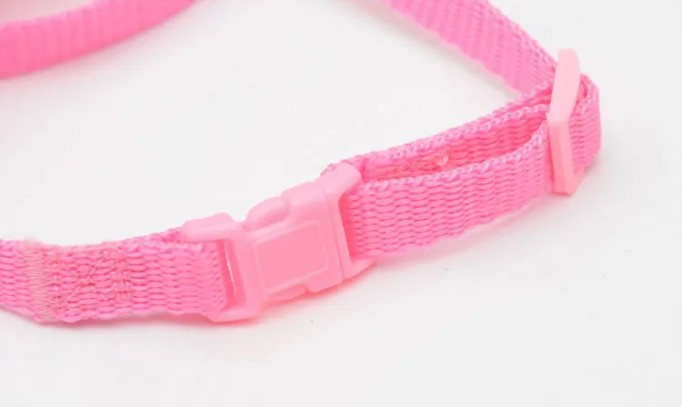 walking leahs for dog