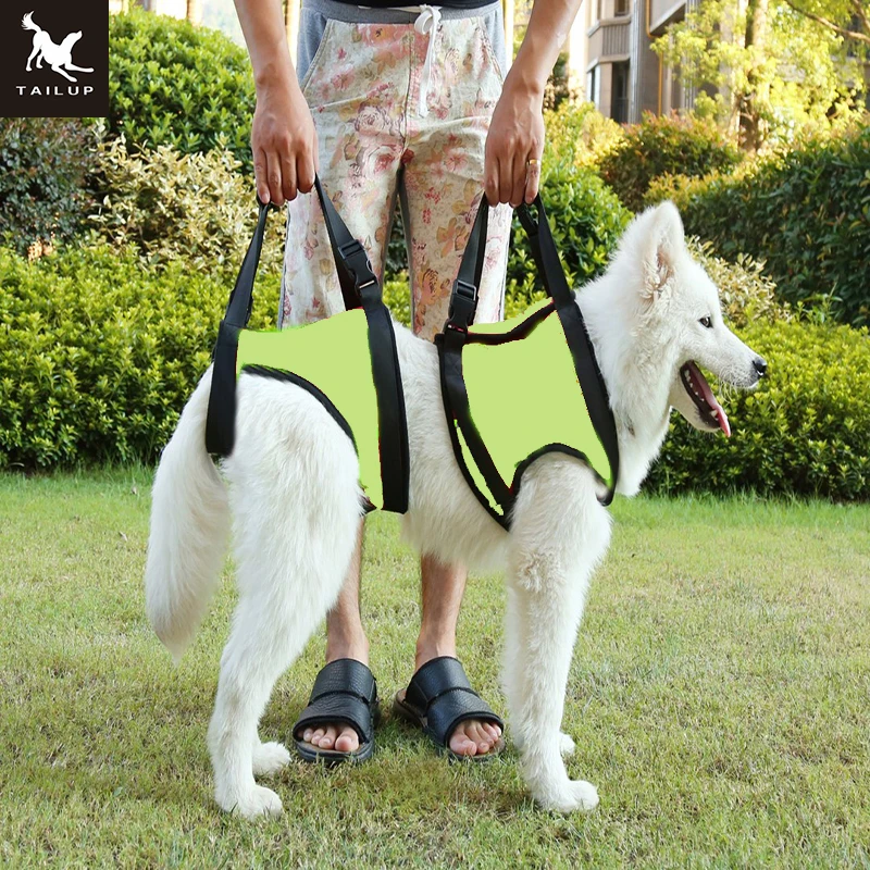 dog lift harness