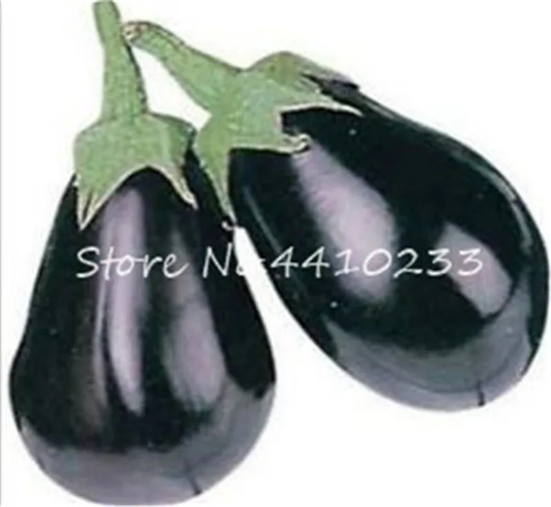 100 Pcsbag Mixed Species Eggplant Bonsai Organic Healthy Vegetable Non