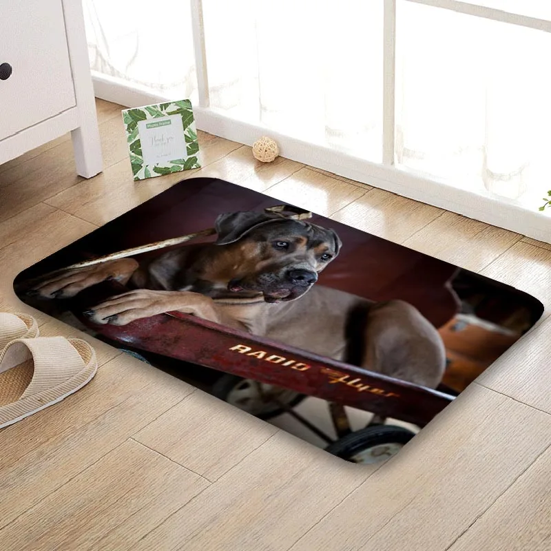 Пользовательский тростниковый Корсо Funy дверной коврик для