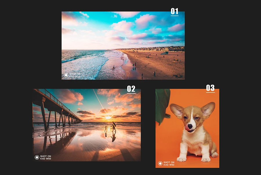W50-5MP+5MP-_08