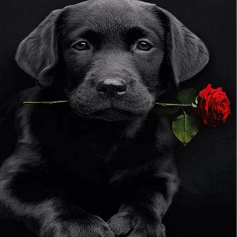 

5D new diamond embroidery Rhinestones cross stitch diamond mosaic Decor DIY animal needlework diamond painting Black dog z097