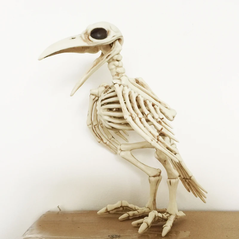 Comprar Esqueleto Raven100 % plástico esqueleto de animales huesos para el Horror decoración de Halloween