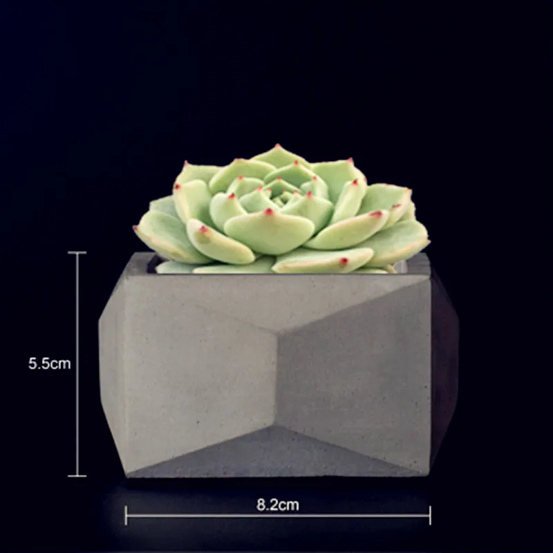Cactus Succulent Plants Pot Vase Molds for Concrete Pot Making Handmade Clay Craft Cement flowerpot Silicone mold