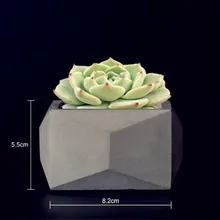Cheap Cactus Succulent Plants Pot Vase Molds for Concrete Pot Making Handmade Clay Craft Cement flowerpot Silicone mold Cheap Cactus Succulent Plants Pot Vase Molds for Concrete Pot Making Handmade Clay Craft Cement flowerpot Silicone mold