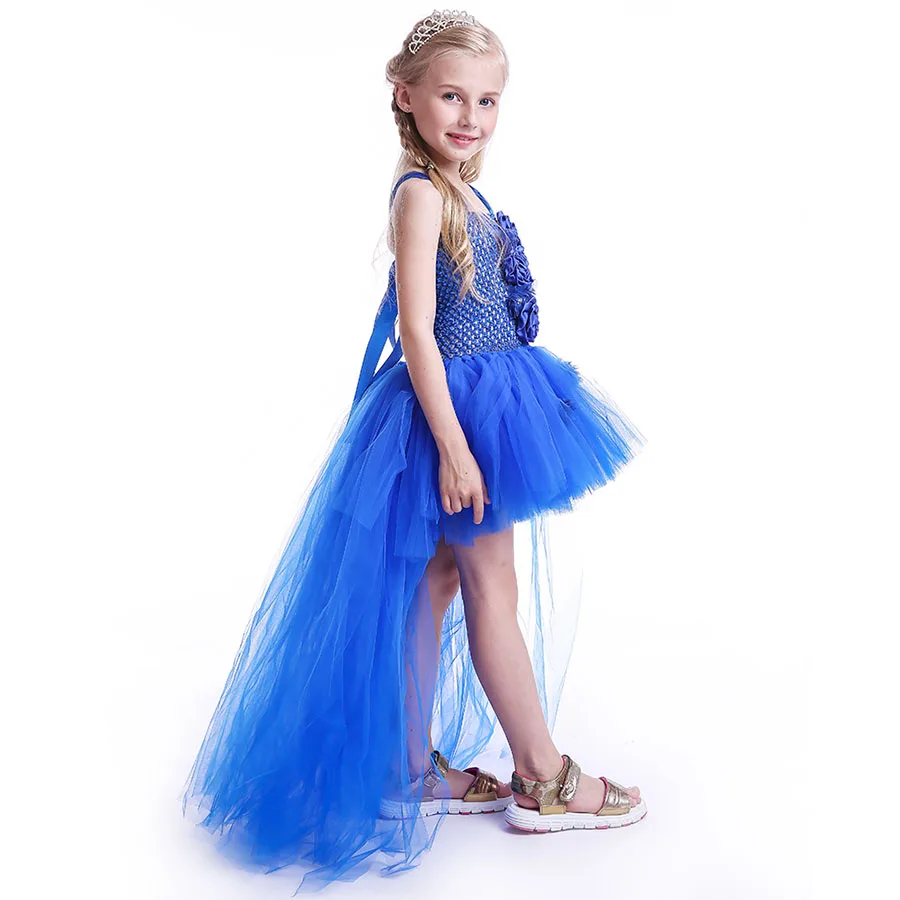 Kids Princess Blue Flowers Long Tail Tutu Dress Baby Girls Summer Tulle Wedding (4)