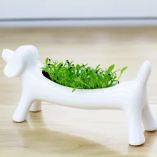 New White Ceramic Animal Flower Plant Pot Ornaments Small Potted Flowerpot Succulents Micro Mini Desktop Landscape