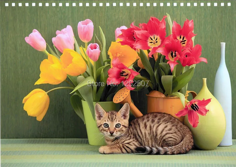 Epson Hp Canon Pigment ink dye ink (11)