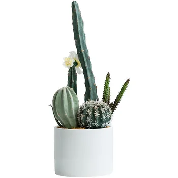 

Cactus Ball Fake Potted Plant Simulation Green Plant Bonsai Interior c