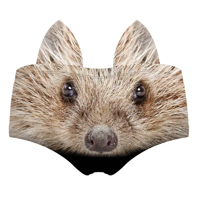 55109 hedgehog wiz back 