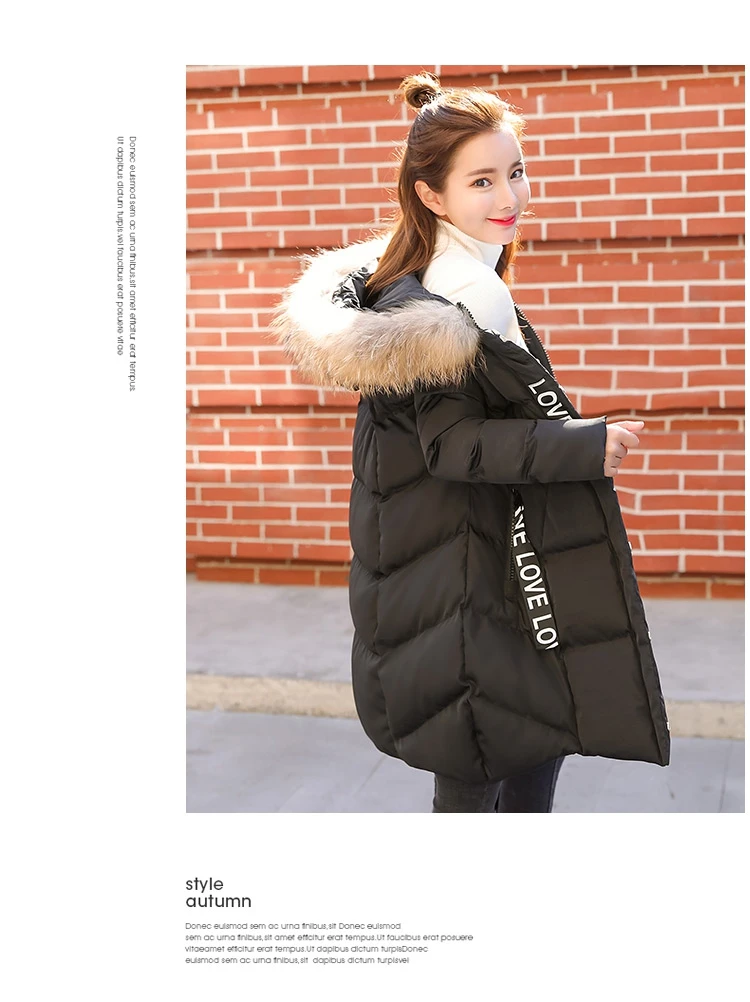 Winter Jacket Women Medium  Long Section Down Cotton Clothing Winter Woman Coats 2018 Big Fur Collar Women's Winter Jacket (28)