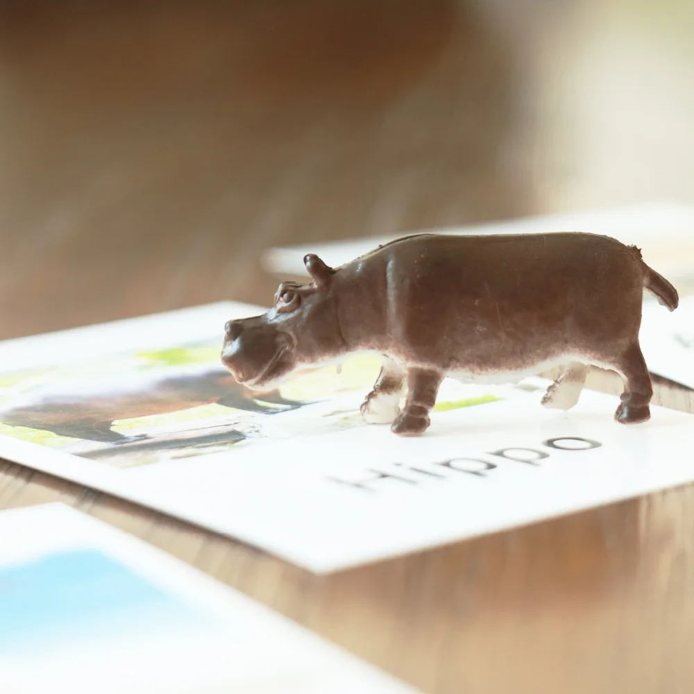 Montessori Infant Toys Montessori Animal Cards Preschool Learning Educational Toys for Toddlers Juguetes Brinquedos MI3044H Montessori Infant Toys Montessori Animal Cards Preschool Learning Educational Toys for Toddlers Juguetes Brinquedos MI3044H