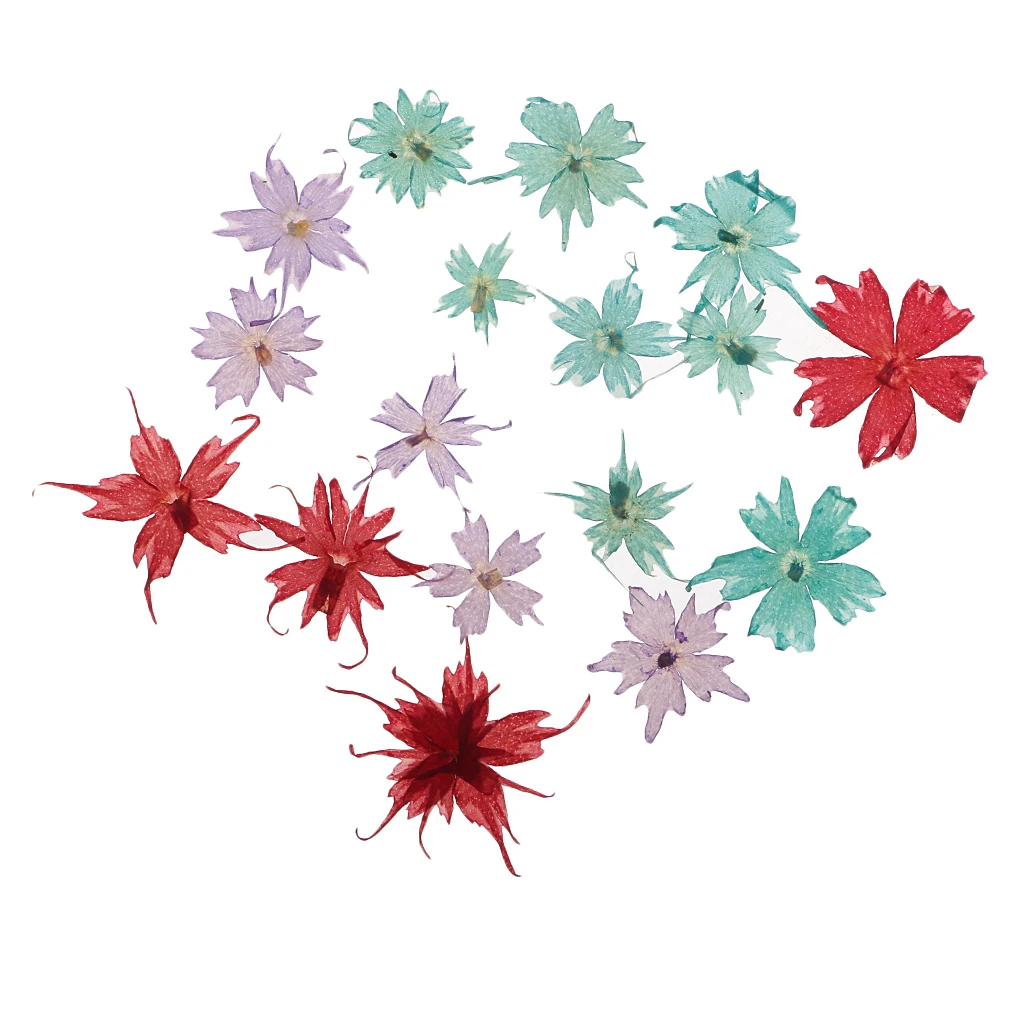 Pack Of Natural Dried Flower Real Flower Mixed For DIY Resin Ornament Craft Card Making Scrapbooking Embellishment Floral Design