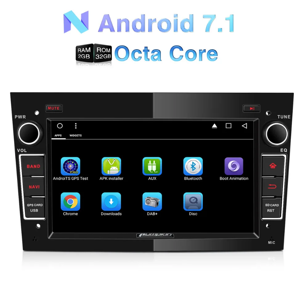 Clearance Pumpkin 2 Din 7