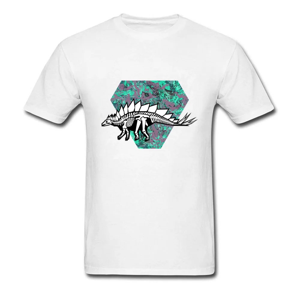 Stegosaurus Fossil_white